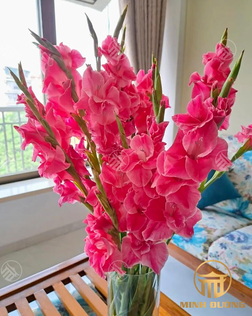 Hoa trên bàn thờ ngày Tết | Hoa lay ơn